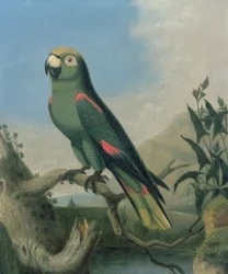 Perroquet vert sur une branche